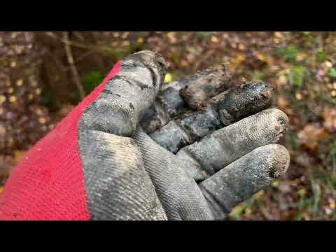 Видео: Нашел большой крест в лесу