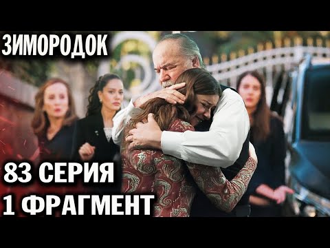 Видео: Зимородок 82-83 серия русская озвучка Свежие спойлеры Зимородок 82-83 серия