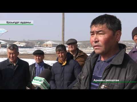 Видео: ҚАЗЫҒҰРТТА МАЛ ҰРЛЫҒЫ ӨРШІП ТҰР