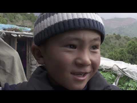 Видео: Фильм "Зардалыга сапар"