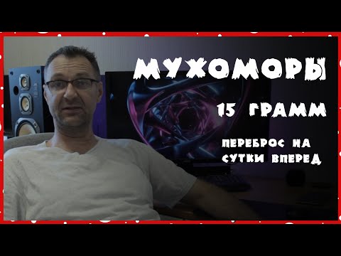 Видео: Мухоморный трип / 15 г красных мухоморов / Каряка.