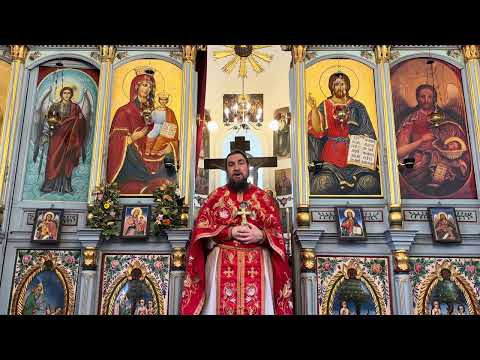 Видео: За хилядолетния кръговрат на човешките заблуждения