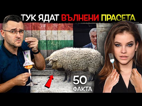 Видео: 50 Факта за УНГАРИЯ, след които НЯМА да ЯДЕТЕ СВИНСКО