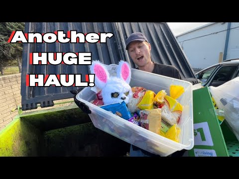 Видео: Ещё одна ОГРОМНАЯ добыча из мусорного контейнера! Столько еды!