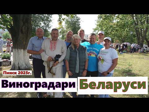Видео: Выставка- ярмарка "Янтарная гроздь винограда "Пинск 2025г .