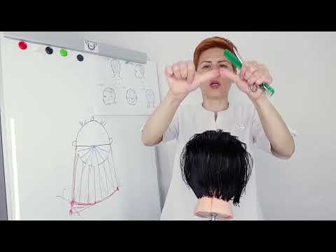 Видео: эшвуд