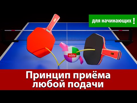 Видео: Как научиться принимать любую подачу. Настольный теннис для начинающих