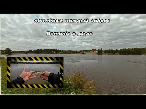 Видео: Мини обзор Dayo Demonic окунь накаждом забросе!!!!