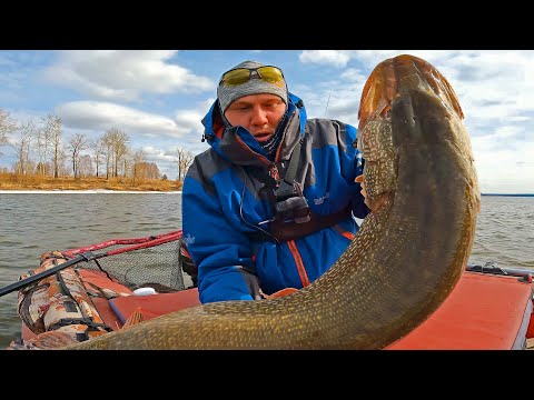 Видео: ШОК рыбалка 2023 !! ЭТУ БОРЬБУ НАДО ВИДЕТЬ! На спиннинг весной КЛЮНУЛА ЩУКА МОНСТР!