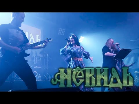 Видео: НЕВИДЬ - Ожог (live) Орёл ГЕРЦ 08.11.2024