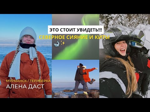 Видео: Влог Мурманск 🐋УВИДЕТЬ КИТОВ И СИЯНИЕ🥹 Путешествие с Аленой Даст!