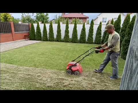 Видео: Запуск газона.