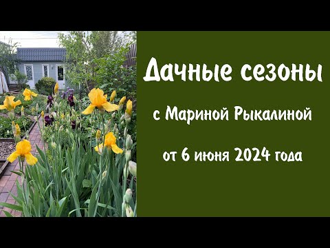 Видео: Дачные сезоны с Мариной Рыкалиной от 6 июня 2024 года