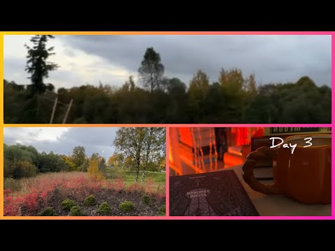 Видео: жуткий книжный марафон || день 3