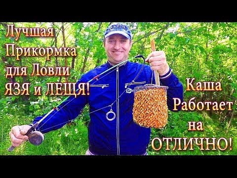 Видео: Лучшая Прикормка для Ловли на Кольцо! Секрет её Приготовления!