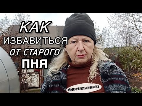 Видео: Как же мне надоело это соседство. Хочу уничтожить его! 