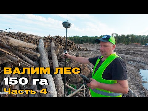 Видео: Что мы наделали? Вырубка леса под аэропорт в г. Владимир
