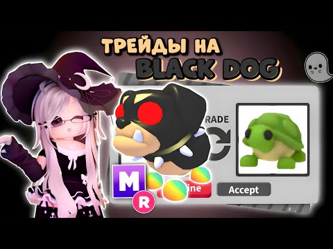 Видео: 🤯Чтооо.. МОЙ ЛУЧШИЙ ТРЕЙД НА МЕГА BLACK DOG| ЧЕРНЫЙ ПЕС В АДОПТ МИ РОБЛОКС