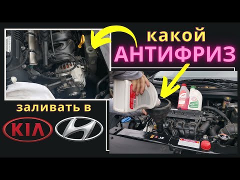 Видео: Какой и сколько антифриза доливать в Kia Rio X / Sportage / Seltos Hyundai Solaris / Elantra /Sonata