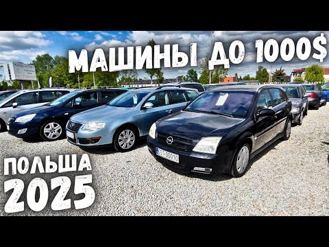 Видео: АВТОПЛОЩАДКА ДО 1000$ В ПОЛЬШЕ | АВТОРЫНОК ПОЛЬША 2025 ЦЕНЫ НА АВТОМОБИЛИ В ПОЛЬШЕ, ОБВАЛ ЦЕН 2025