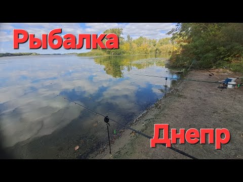 Видео: Рыбалка Днепр 🎣. Второй день ловлю карасей гигантов🐟