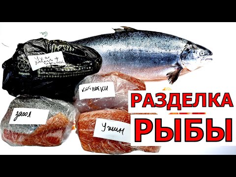Видео: Научу чистить рыбу  за 5 минут, а засолить  по-карельски за одну минуту