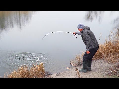 Видео: РЫБАЛКА ЗИМОЙ НА СПИННИНГ С БЕРЕГА НА ОГРОМНУЮ ЩУКУ! Микроджиг зимой 2020.