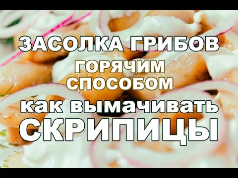 Видео: Засолка грибов горячим способом. Как вымачивать скрипицы