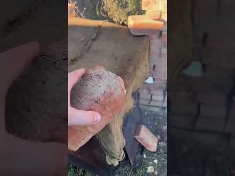 Видео: Рыбалка ЖИЗНИ!