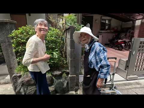 Видео: Японские бабули. Люки. Почему нет тротуаров. Снесенные заборы. Где красный перец.