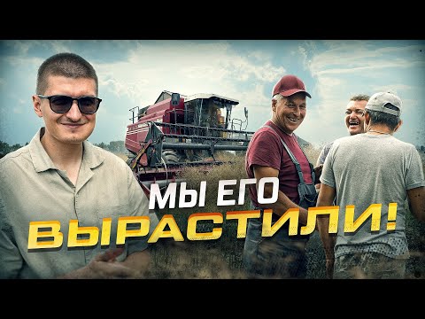 Видео: Нам ГОВОРИЛИ, что ОЗИМЫЙ РАПС не растет в Мордовии! Уборочная 2025 