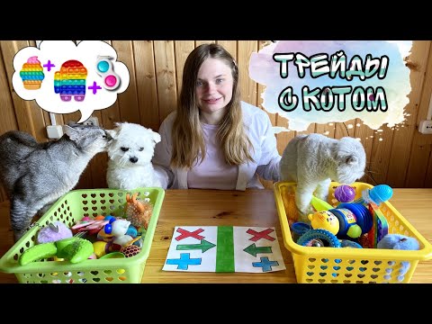 Видео: ТРЕЙДЫ ПОП ИТ С КОТОМ КЕВИНОМ И БИЛЛИ