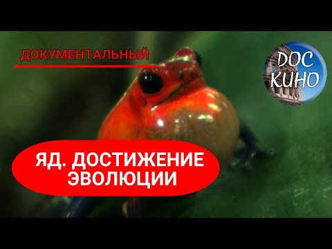 Видео: 🎭 ЯД.  ДОСТИЖЕНИЕ  ЭВОЛЮЦИИ.🌎 ДОКУМЕНТАЛЬНОЕ КИНО 🎆 2015