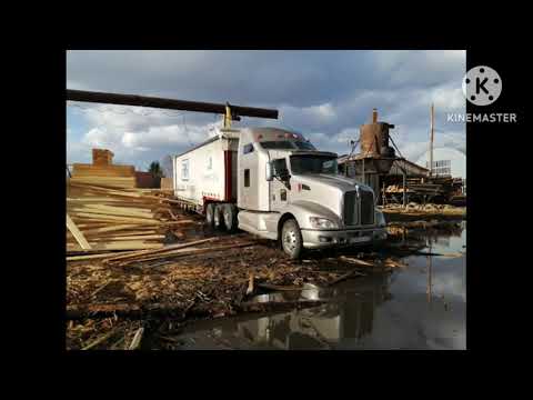 Видео: 8 ноября 2025 г.