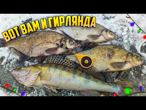 Видео: Я был в ШОКЕ, Приехали на ХИЩНИКА, а увидели слой РЫБЫ, ГИРЛЯНДА ПОРАЗИЛА, Рыбалка на Гирлянду