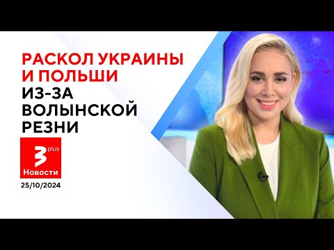 Видео: Драма под Вильнюсом: в припадке ревности - отрезал детородный орган / Новости TV3 Plus