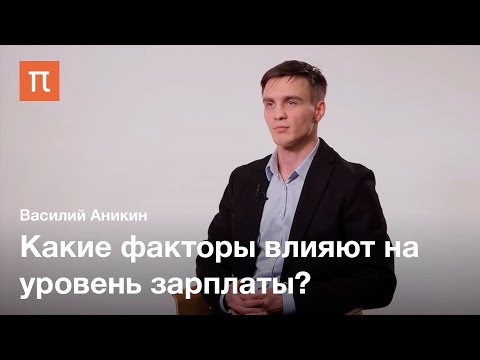 Видео: Человеческий капитал — Василий Аникин / ПостНаука