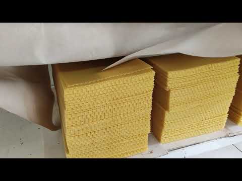 Видео: Как да си направим ИСТИНСКИ восъчни основи