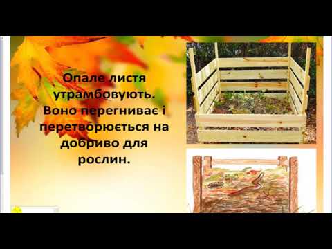 Видео: 10 Я досліджую світ, 2 клас, урок № 32 Тема  Як рослини готуються до зими  Терещук О А