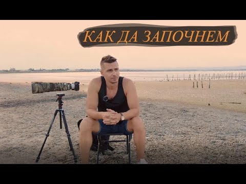 Видео: Фотография на диви животни - Началото