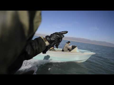 Видео: Капчагай, задержание  браконьеров