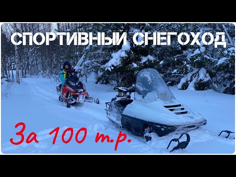 Видео: Спортивный снегоход за 100 т.р. или обзор снегохода Рысь 121 спорт