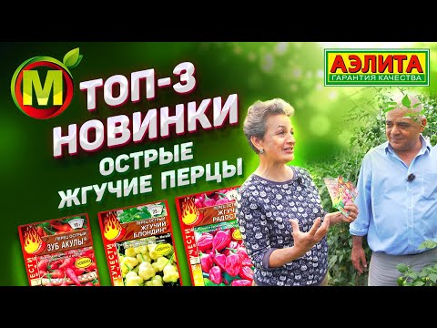 Видео: ОСТРЫЕ ПЕРЦЫ – НОВИНКИ: Жгучий Блондин, Жгучая Радость, Зуб Акулы