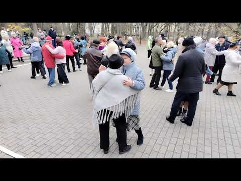 Видео: Танцы в Гомеле. 08.11.2025 г. 
