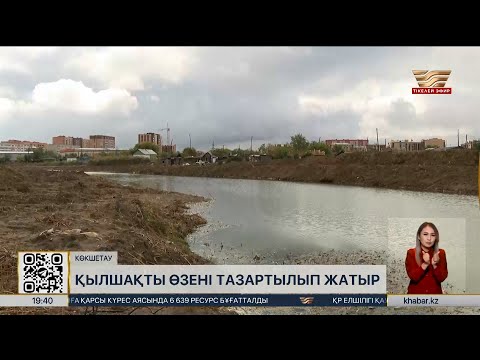 Видео: Көкшетаудағы Қылшақты өзені тазартылып жатыр