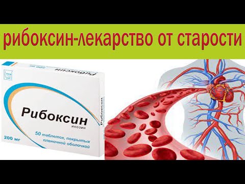 Видео: Волшебная таблетка от старости. Укрепляет сердце, печень, иммунитет, нервы.