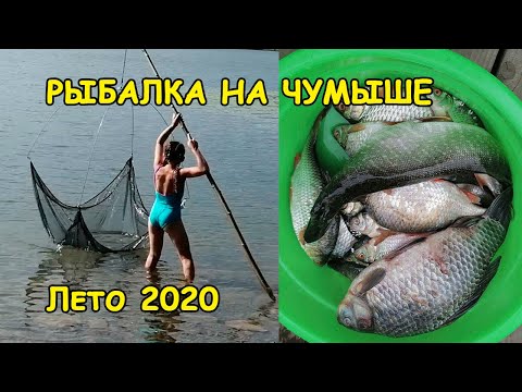 Видео: Отдых с рыбалкой, река Чумыш. Отдыхаем на природе всей семьей