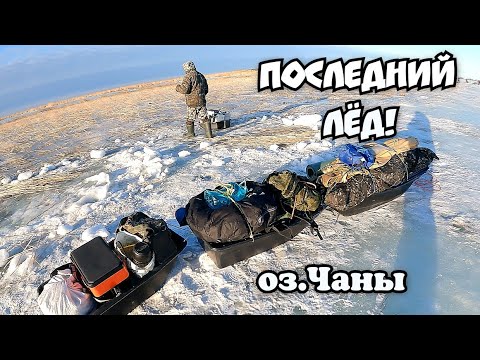 Видео: Такой клёв бывает только здесь! Последний лёд! Озеро Чаны! #карась #чебак #чаны