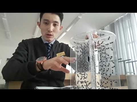 Видео: Демонстрация магнитного поля