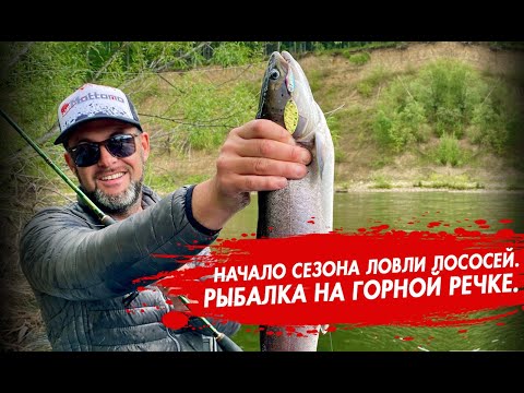 Видео: Рыбалка на горной речке. Начало сезона ловли лососей. Рыбалка на джиг и блесны.